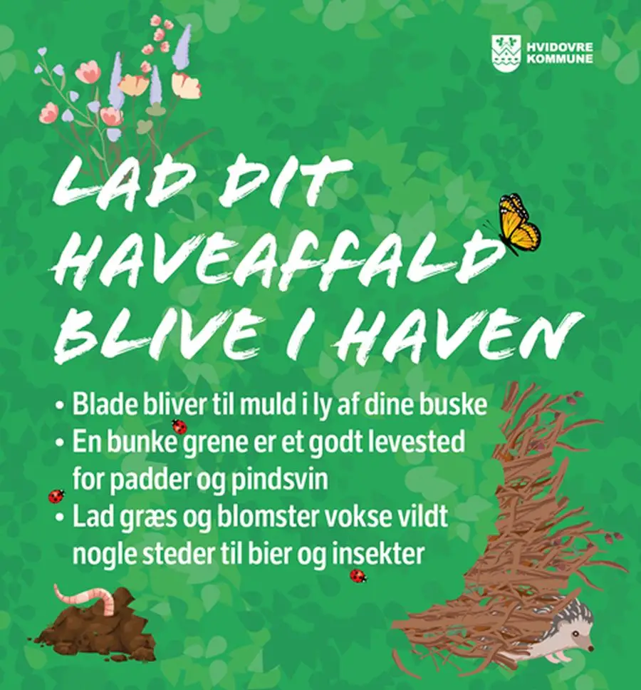 Haveaffald bør blive i haven til gavn for biodiversiteten, infografik fra Hvidovre Kommune