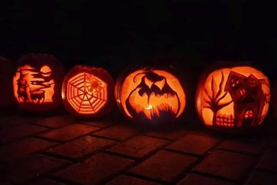 Halloween-græskar på række