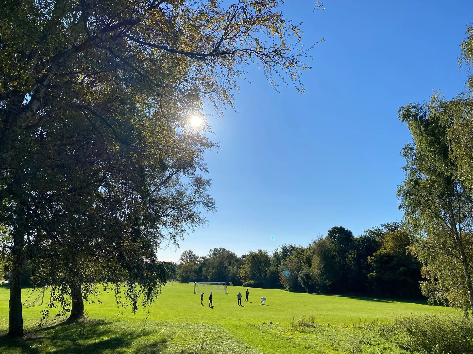 Vigerslevparken i oktober 2024