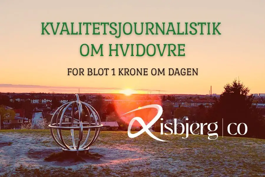 Risbjerg & Co., 1 krone om dagen
