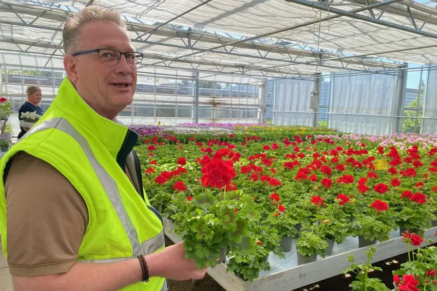 Blomster dyrkes i drivhuse i Hvidovre under ledelse af Kurt Edvin Nielsen