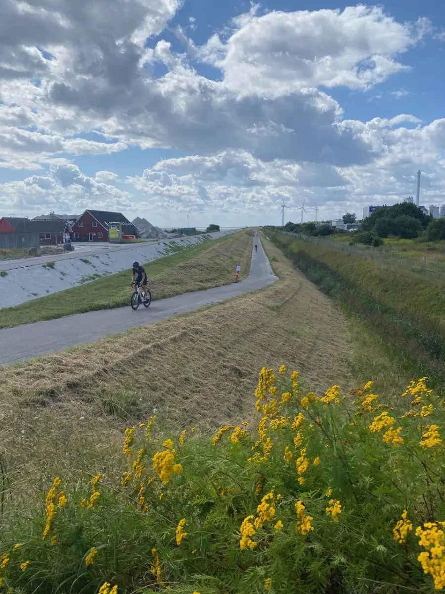 Cykelsti på Avedøre Holme