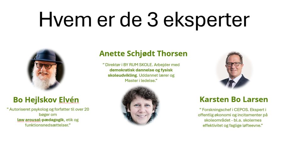 Tre eksperter