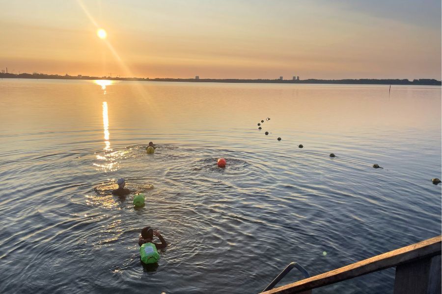 Svømmere i Kalveboderne