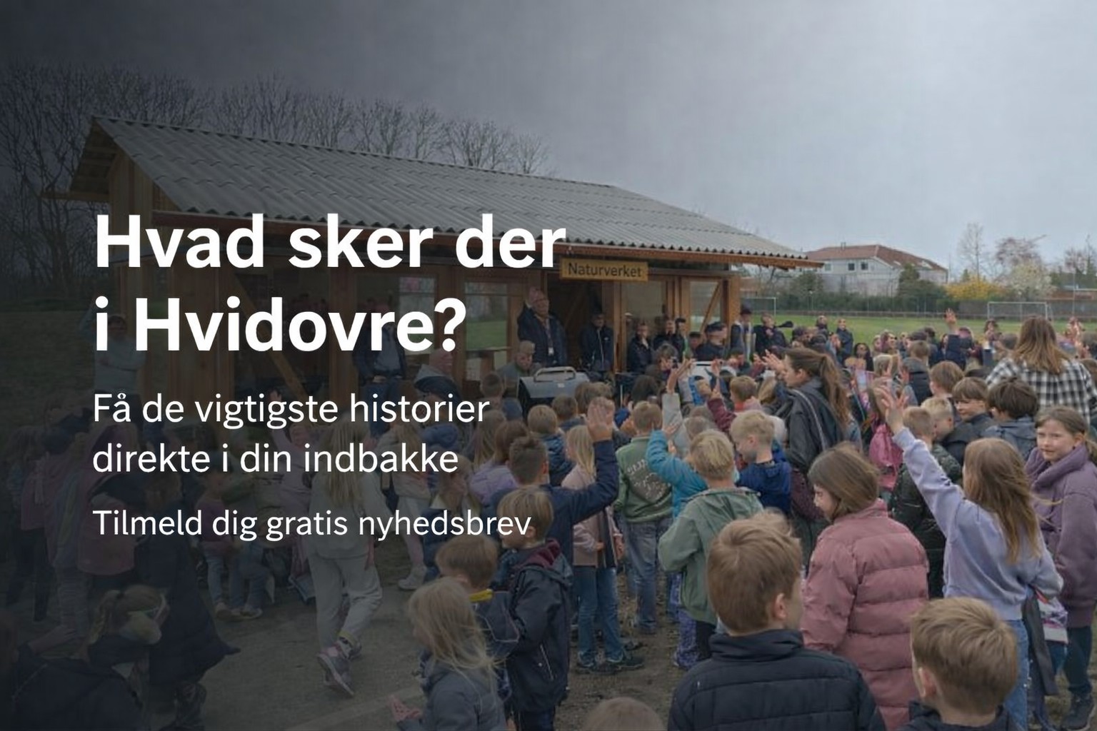 Reklame for nyhedsbrev