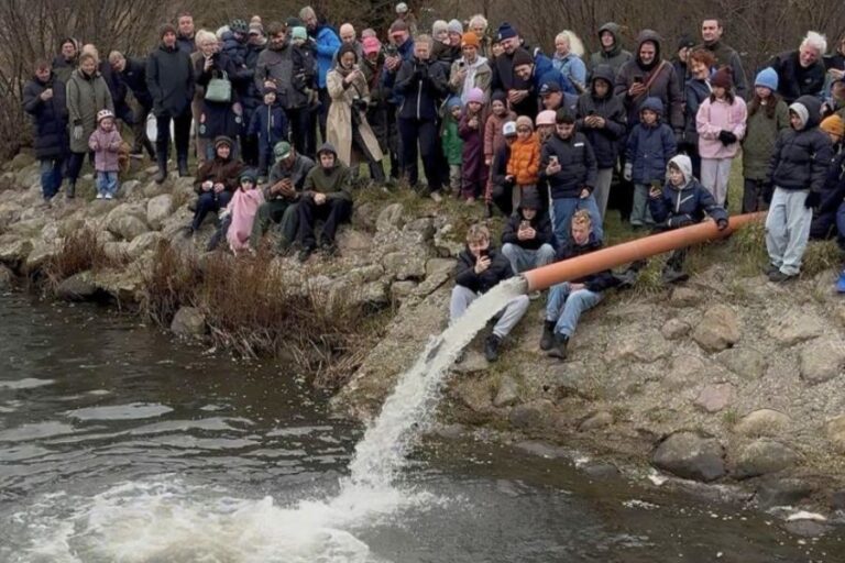 Tilskuere til havørreder, der bliver sat ud