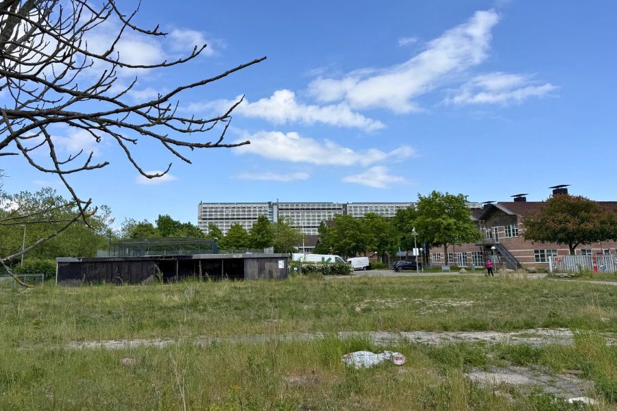 Grund i Avedøre